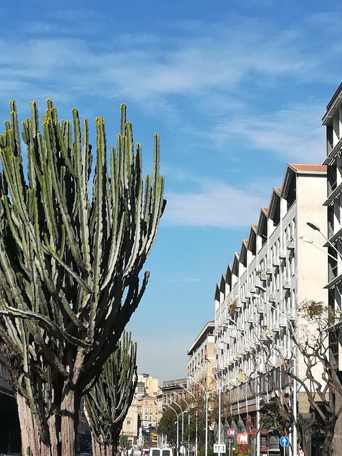 Apartment Il Panorama Sull'etna